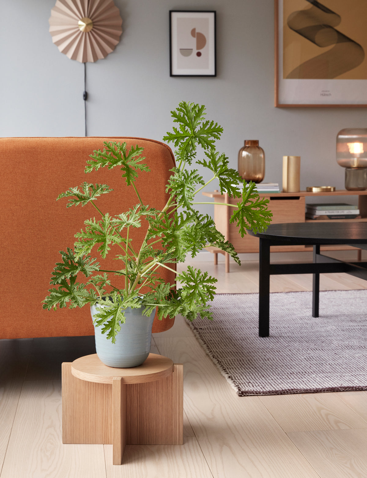 Fjord Couchtisch aus Esche und Eukalyptus