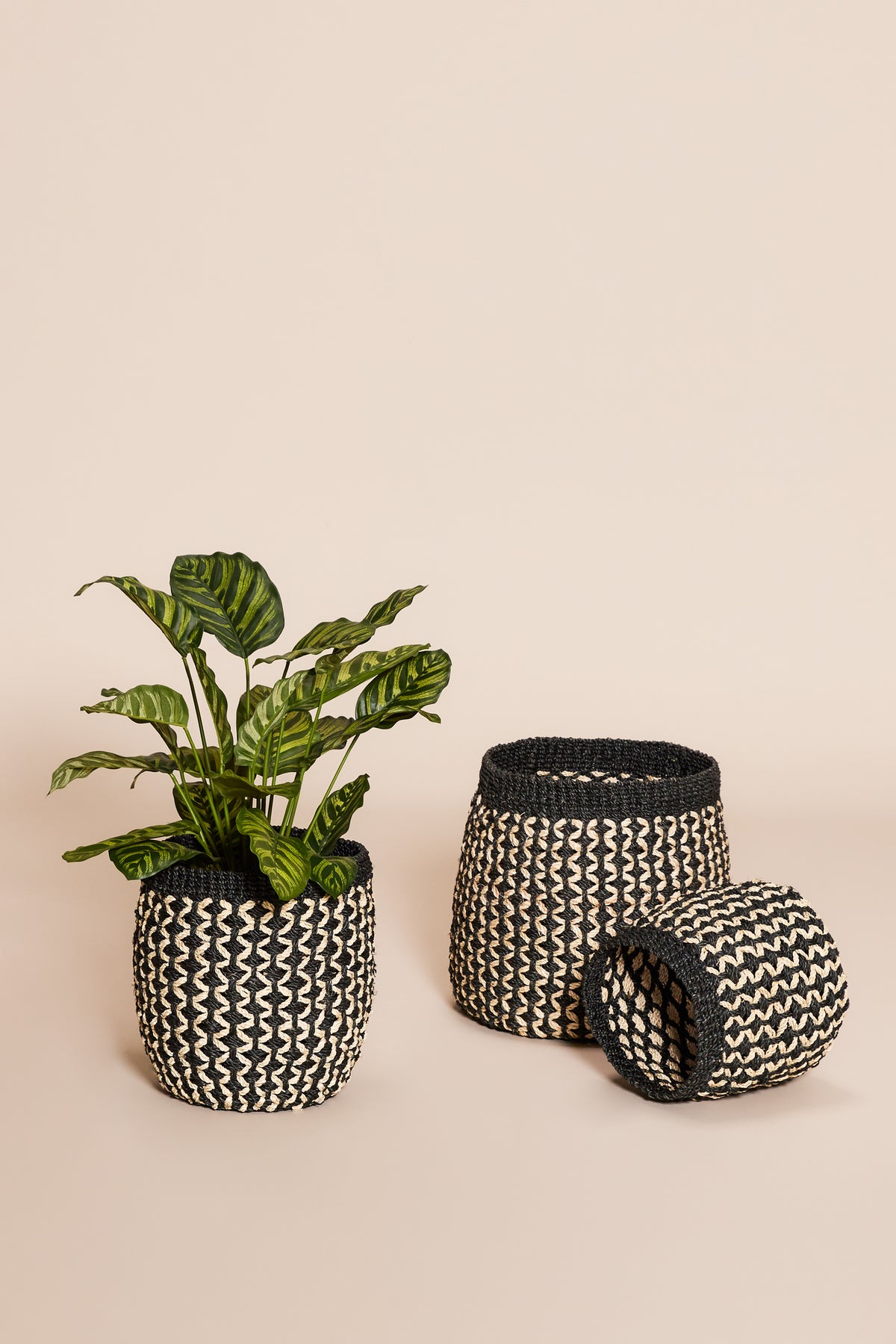 PolsterOase Möbel – Sprout Körbe aus Abaca, 3er, Set – Ansicht 3