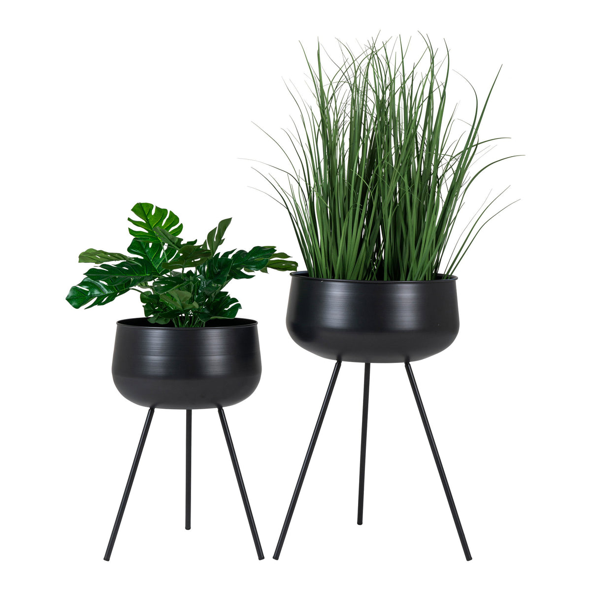 PolsterOase Möbel – Menton Wandregal aus Seegras, Natur, 50 × 80 cm – Ansicht 2
