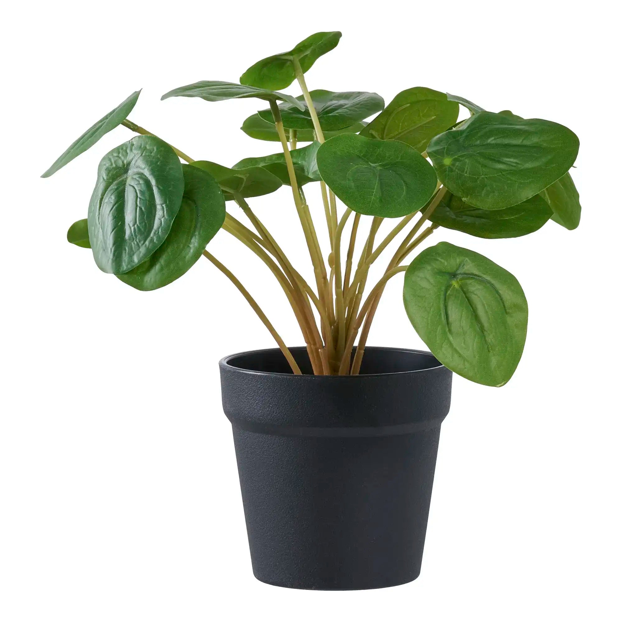 Kunstpflanze Pilea Grün 28 cm – Pflegeleichte Deko im skandinavischen Stil