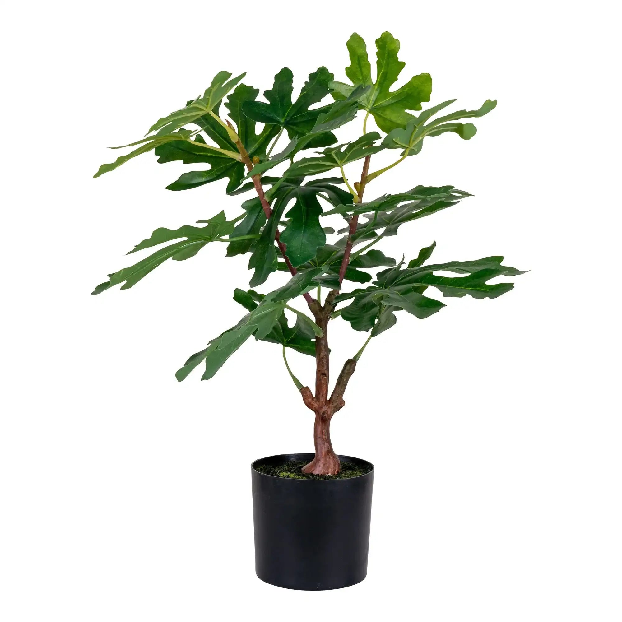 Kunstbaum Feige Grün 60 cm – Pflegeleichte Zimmerpflanze im skandinavischen Stil