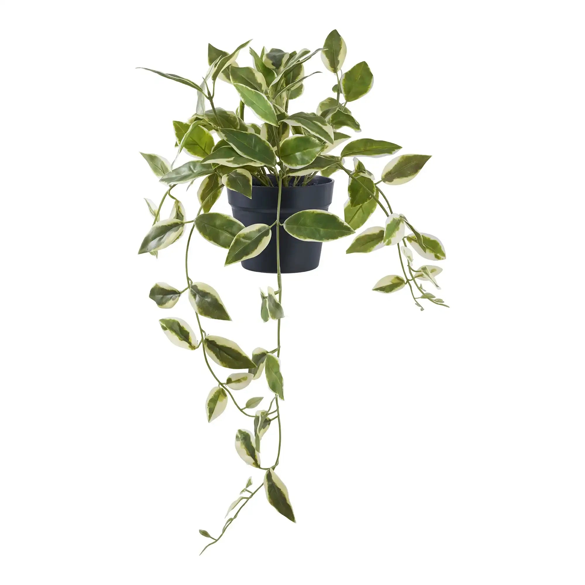 Kunstpflanze Hoya Grün 33 cm – Pflegeleichte Deko im skandinavischen Stil