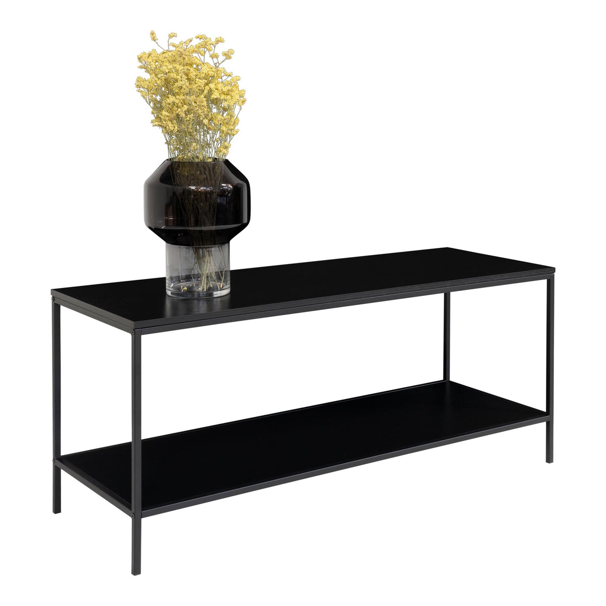 PolsterOase Möbel – Vita TV Möbel aus Stahl, 2 Ablagen, 100 × 36 × 45 cm