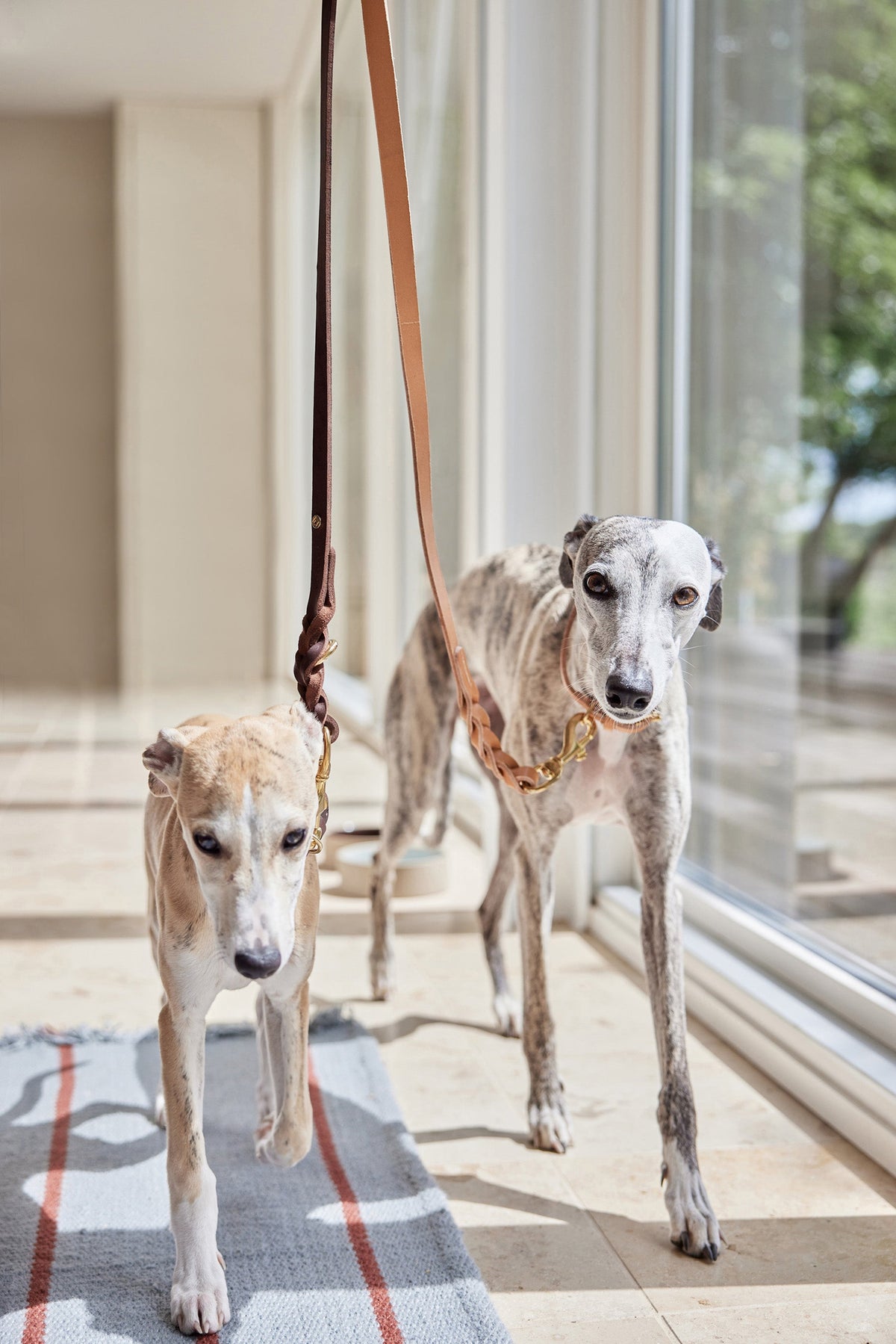 PolsterOase Hundeleine – Robin Hundeleine, M/L Nr. 3