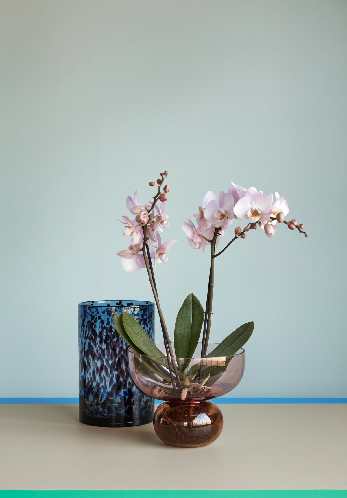 Show Vase, Rosa/Bernstein