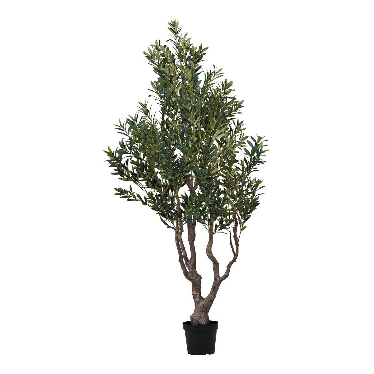 PolsterOase Möbel – Künstlicher Olivenbaum aus PE, Kunststoff, Grün, 220 cm