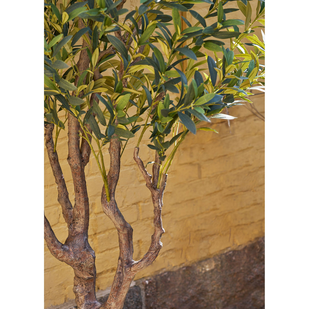 PolsterOase Möbel – Künstlicher Olivenbaum aus PE, Kunststoff, Grün, 220 cm – Ansicht 4