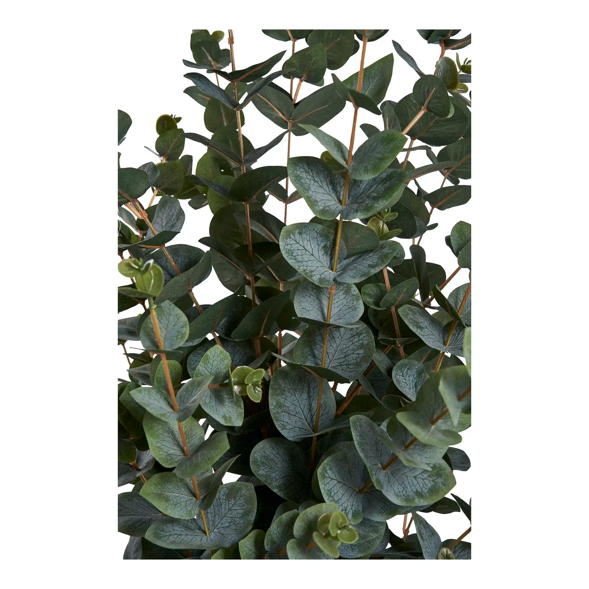 Kunstbaum Eukalyptus 120 cm – Pflegeleichte Zimmerpflanze im skandinavischen Stil