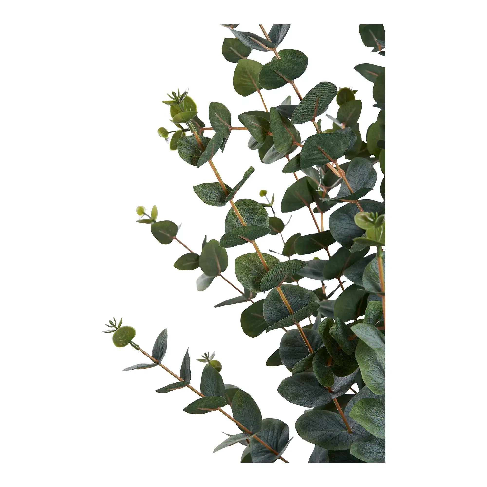 Kunstbaum Eukalyptus 120 cm – Pflegeleichte Zimmerpflanze im skandinavischen Stil