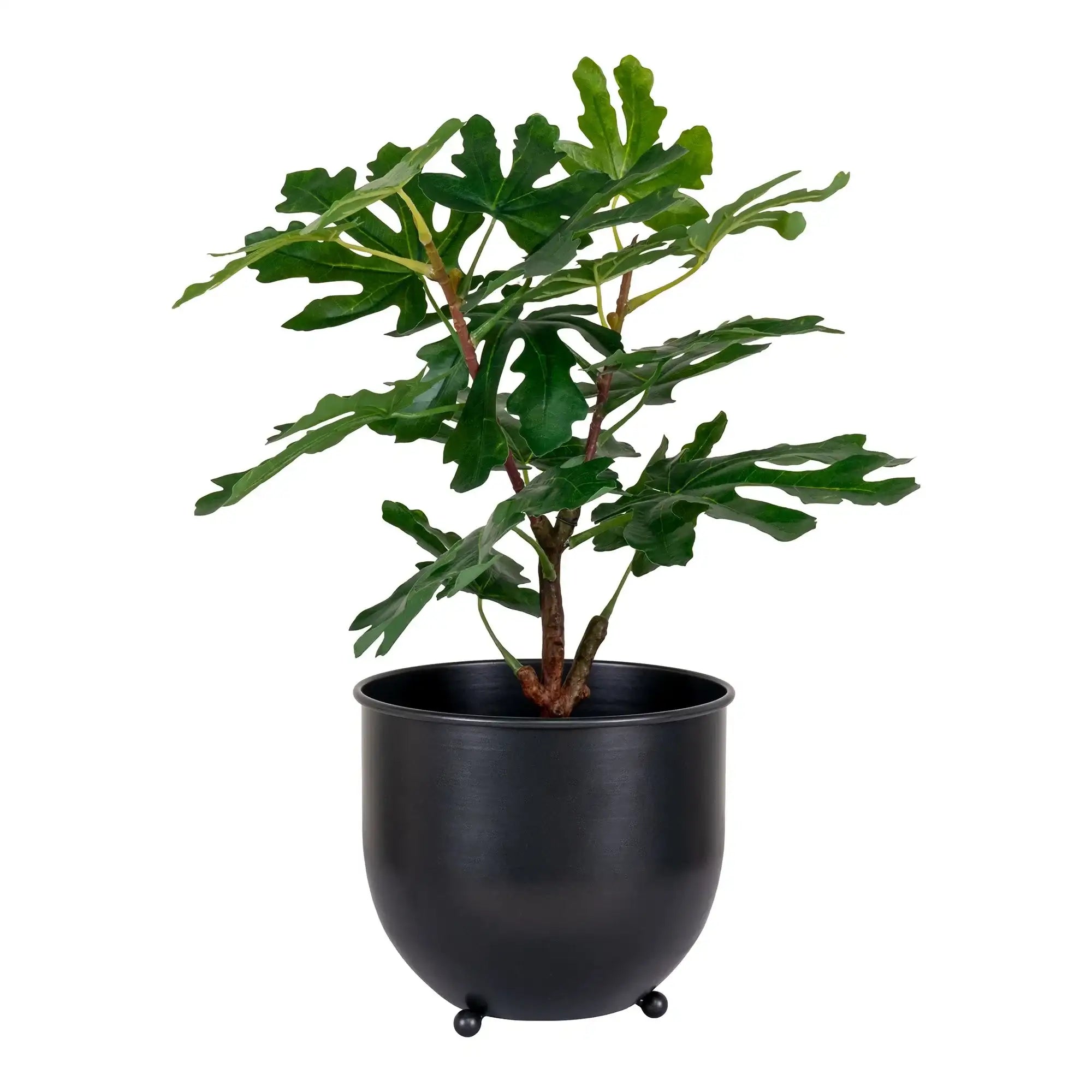 Kunstbaum Feige Grün 60 cm – Pflegeleichte Zimmerpflanze im skandinavischen Stil
