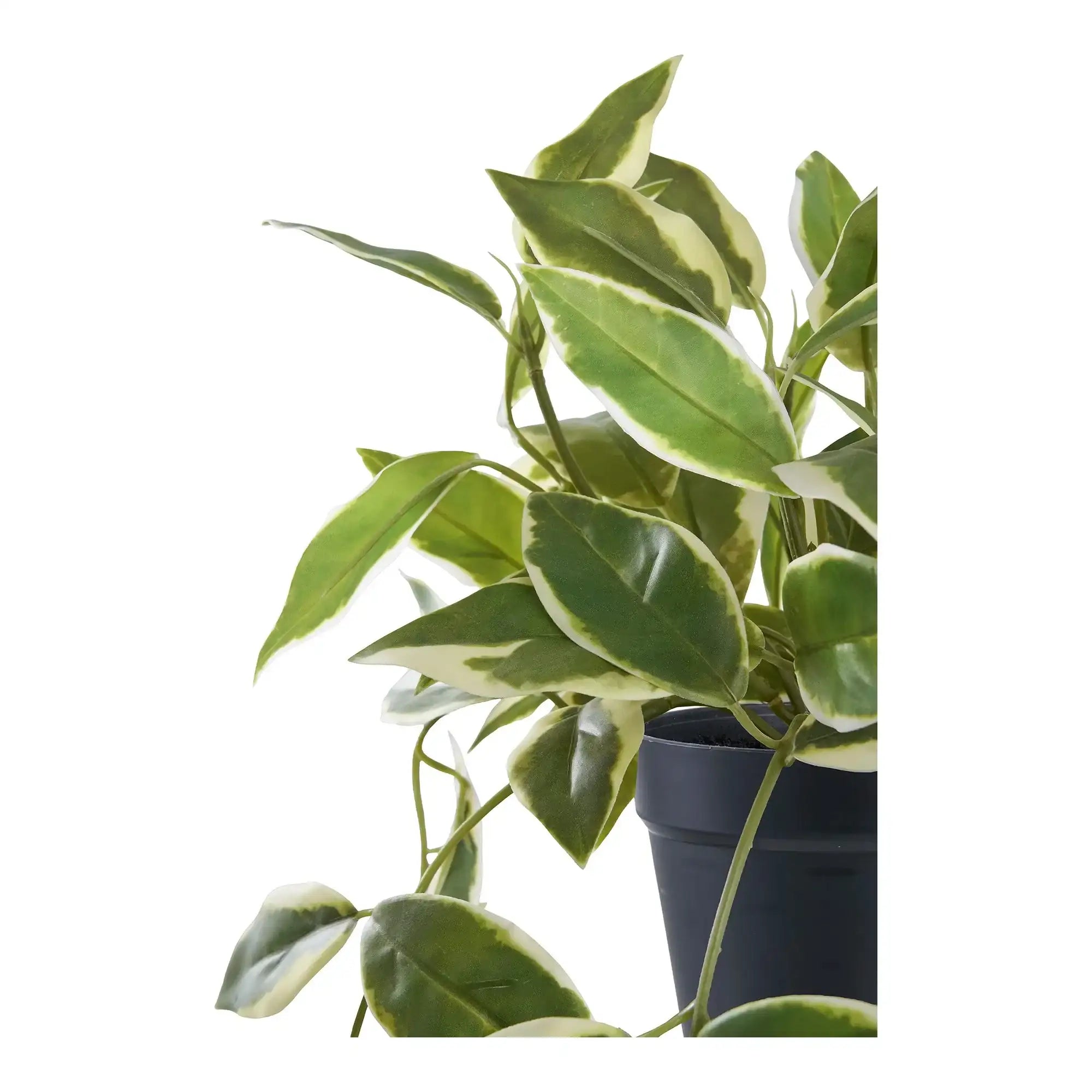 Kunstpflanze Hoya Grün 33 cm – Pflegeleichte Deko im skandinavischen Stil