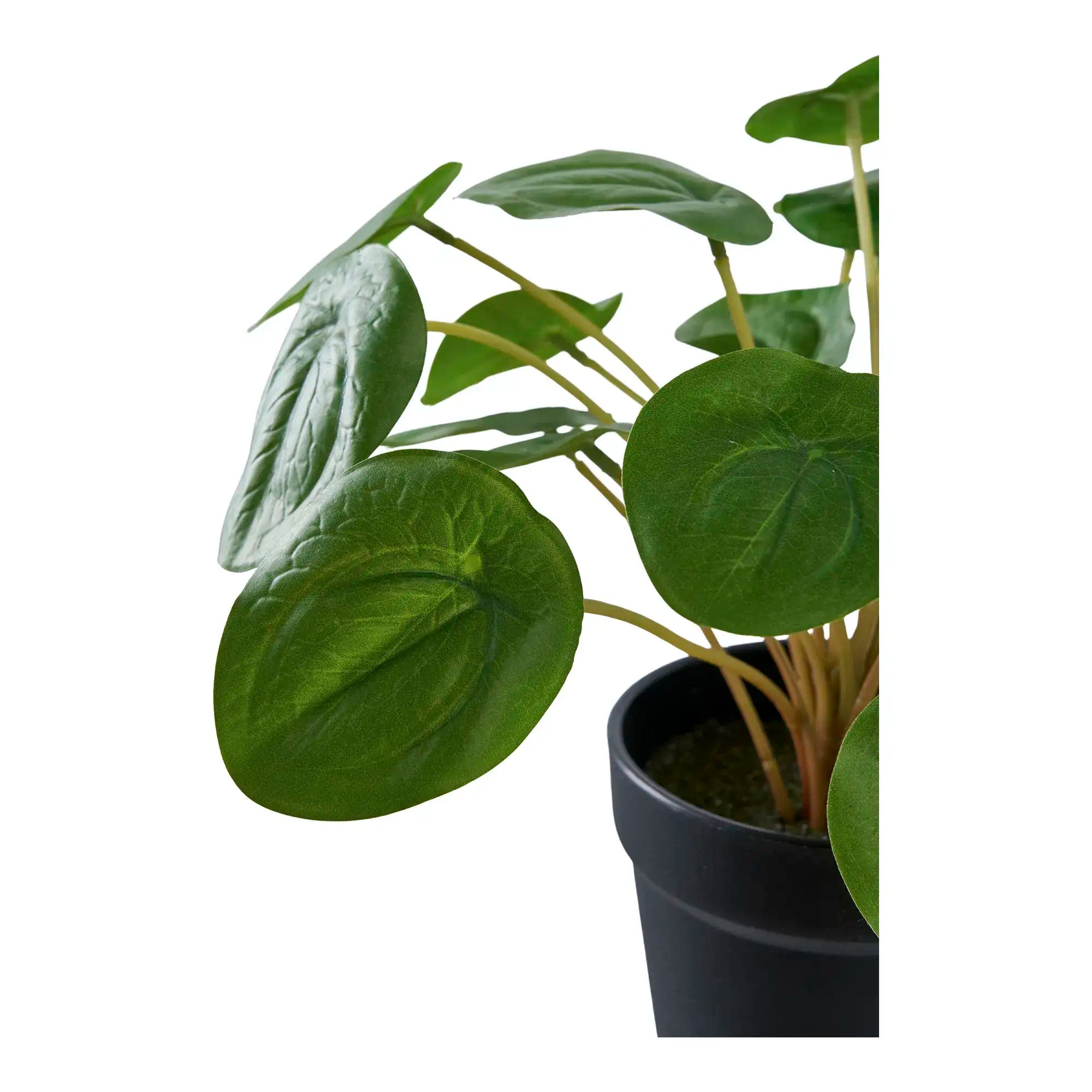 Kunstpflanze Pilea Grün 28 cm – Pflegeleichte Deko im skandinavischen Stil