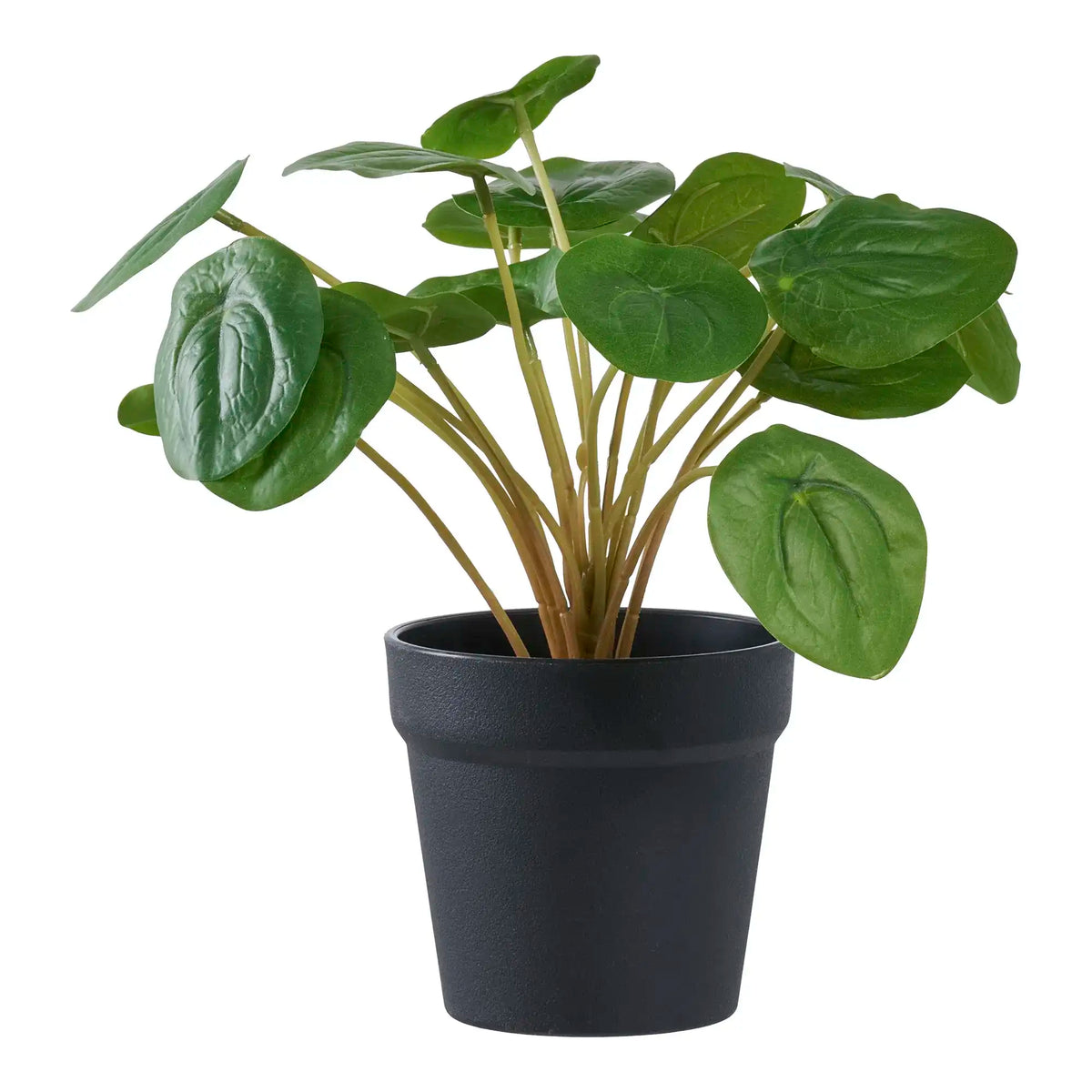 PolsterOase Kunstpflanze – Kunstpflanze Pilea Grün 28 cm – Pflegeleichte Deko im skandinavischen Stil – Ansicht 02