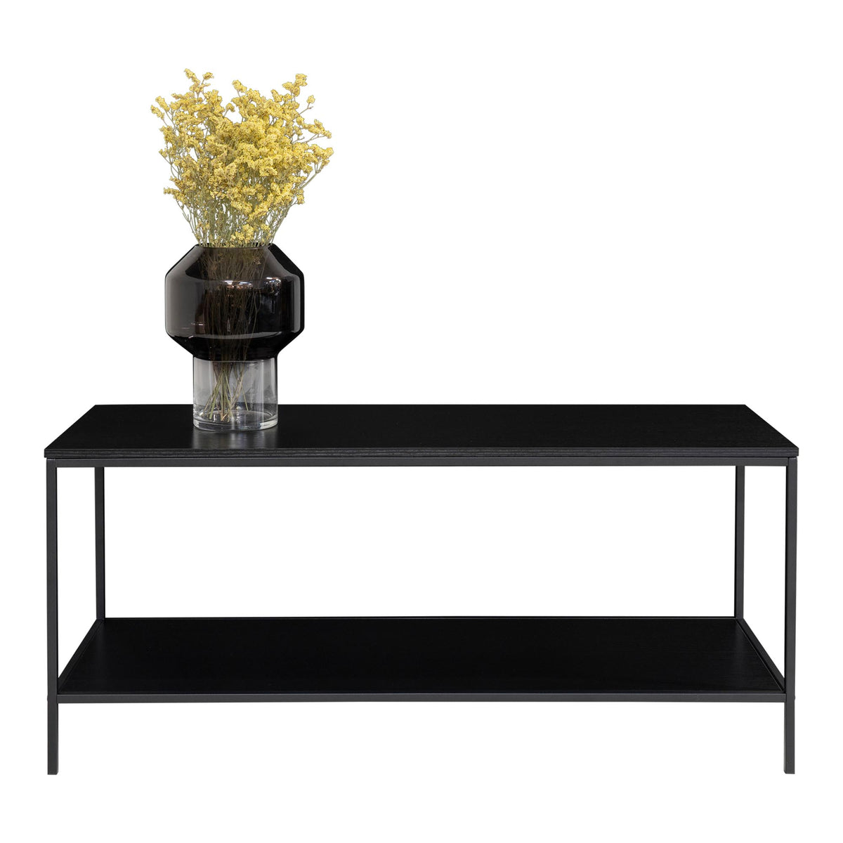 PolsterOase Möbel – Vita TV Möbel aus Stahl, 2 Ablagen, 100 × 36 × 45 cm – Ansicht 3